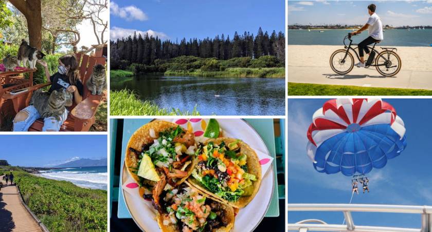 A collage of activities that visitors can do on Maui during Covid times. The collage includes a girl feeding cats at the Lanai Cat Sanctuary, two people parasailing, a man biking on an electric bike, Mexican tacos from a food truck, and two people walking on the Kapalua coastal trail