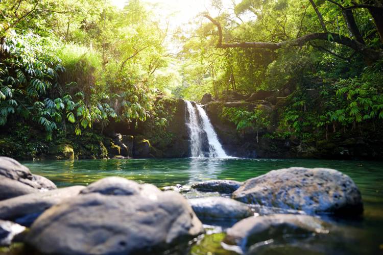 Tropical waterfall Lower Waikamoi Falls and a small crystal clear pond, inside of a dense tropical rainforest, off the Road to Hana Highway, Maui.